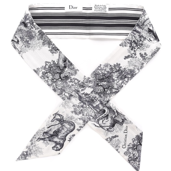 Dior TOILE DE JOUY SAUVAGE MITZAH SCARF - Picture 1 of 5